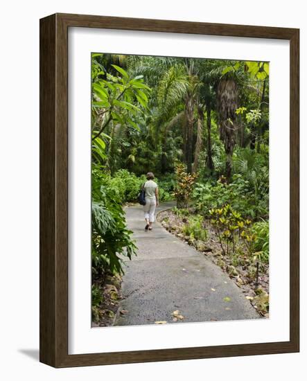 Harry P. Leu Gardens, Orlando, Florida, United States of America, North America-Michael DeFreitas-Framed Photographic Print