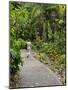 Harry P. Leu Gardens, Orlando, Florida, United States of America, North America-Michael DeFreitas-Mounted Photographic Print