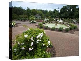 Harry P. Leu Gardens, Orlando, Florida, United States of America, North America-Michael DeFreitas-Stretched Canvas