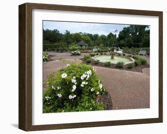 Harry P. Leu Gardens, Orlando, Florida, United States of America, North America-Michael DeFreitas-Framed Photographic Print