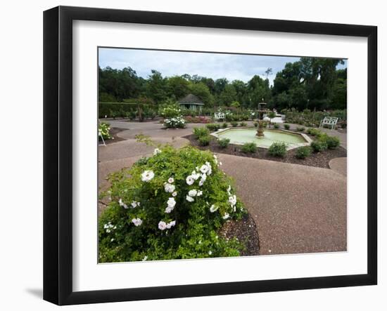 Harry P. Leu Gardens, Orlando, Florida, United States of America, North America-Michael DeFreitas-Framed Photographic Print