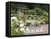 Harry P. Leu Gardens, Orlando, Florida, United States of America, North America-Michael DeFreitas-Framed Stretched Canvas