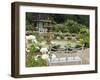 Harry P. Leu Gardens, Orlando, Florida, United States of America, North America-Michael DeFreitas-Framed Photographic Print