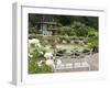 Harry P. Leu Gardens, Orlando, Florida, United States of America, North America-Michael DeFreitas-Framed Photographic Print