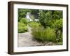 Harry P. Leu Gardens, Orlando, Florida, United States of America, North America-Michael DeFreitas-Framed Photographic Print