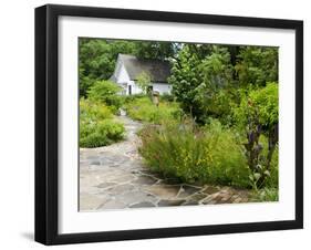 Harry P. Leu Gardens, Orlando, Florida, United States of America, North America-Michael DeFreitas-Framed Photographic Print