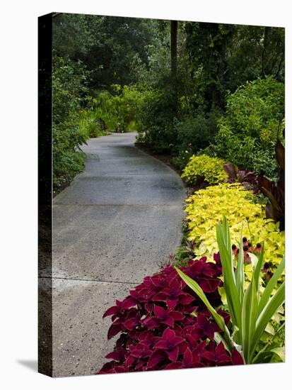 Harry P. Leu Gardens, Orlando, Florida, United States of America, North America-Michael DeFreitas-Stretched Canvas