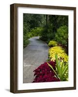 Harry P. Leu Gardens, Orlando, Florida, United States of America, North America-Michael DeFreitas-Framed Photographic Print