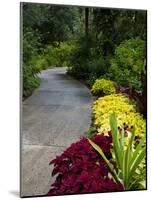 Harry P. Leu Gardens, Orlando, Florida, United States of America, North America-Michael DeFreitas-Mounted Photographic Print