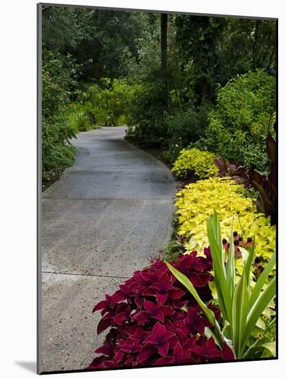 Harry P. Leu Gardens, Orlando, Florida, United States of America, North America-Michael DeFreitas-Mounted Photographic Print