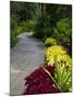 Harry P. Leu Gardens, Orlando, Florida, United States of America, North America-Michael DeFreitas-Mounted Photographic Print