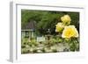 Harry P. Leu Gardens Orlando, Florida, USA-Michael DeFreitas-Framed Photographic Print