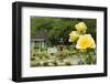 Harry P. Leu Gardens Orlando, Florida, USA-Michael DeFreitas-Framed Photographic Print