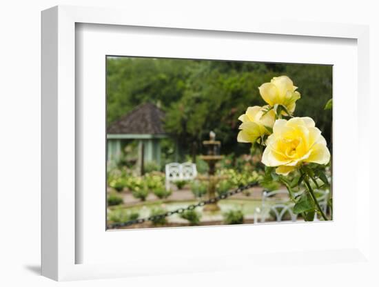 Harry P. Leu Gardens Orlando, Florida, USA-Michael DeFreitas-Framed Photographic Print