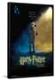 Harry Potter and the Chamber of Secrets - Dobby One Sheet-Trends International-Framed Poster