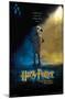 Harry Potter and the Chamber of Secrets - Dobby One Sheet-Trends International-Mounted Poster