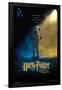 Harry Potter and the Chamber of Secrets - Dobby One Sheet-Trends International-Framed Poster