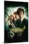 Harry Potter and the Chamber of Secrets - International One Sheet-Trends International-Mounted Poster