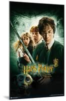 Harry Potter and the Chamber of Secrets - International One Sheet-Trends International-Mounted Poster