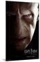 Harry Potter and the Deathly Hallows: Part 1 - Voldemort One Sheet-Trends International-Mounted Poster