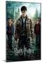 Harry Potter and the Deathly Hallows: Part 2 - One Sheet-Trends International-Mounted Poster