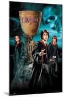 Harry Potter and the Goblet of Fire - Group-Trends International-Mounted Poster