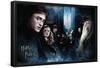 Harry Potter and the Half-Blood Prince - Fraternity-Trends International-Framed Poster