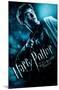 Harry Potter And The Half-Blood Prince-Harry One Sheet-Trends International-Mounted Poster