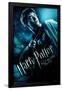 Harry Potter And The Half-Blood Prince-Harry One Sheet-Trends International-Framed Poster