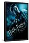 Harry Potter And The Half-Blood Prince-Harry One Sheet-Trends International-Framed Poster