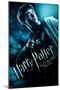 Harry Potter And The Half-Blood Prince-Harry One Sheet-Trends International-Mounted Poster