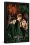 Harry Potter and the Half-Blood Prince - Trio Collage-Trends International-Framed Poster