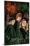 Harry Potter and the Half-Blood Prince - Trio Collage-Trends International-Mounted Poster