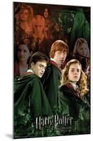 Harry Potter and the Half-Blood Prince - Trio Collage-Trends International-Mounted Poster