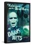 Harry Potter and the Order of the Phoenix - Dark Arts-Trends International-Framed Poster