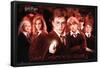 Harry Potter and the Order of the Phoenix - Group-Trends International-Framed Poster