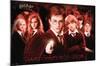 Harry Potter and the Order of the Phoenix - Group-Trends International-Mounted Poster