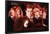 Harry Potter and the Order of the Phoenix - Group-Trends International-Framed Poster