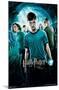 Harry Potter and the Order of the Phoenix - One Sheet (French Version)-Trends International-Mounted Poster