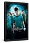 Harry Potter and the Order of the Phoenix - One Sheet (French Version)-Trends International-Framed Poster