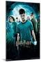 Harry Potter and the Order of the Phoenix - One Sheet (French Version)-Trends International-Mounted Poster