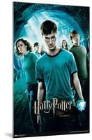 Harry Potter and the Order of the Phoenix - One Sheet-Trends International-Mounted Poster