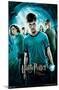 Harry Potter and the Order of the Phoenix - One Sheet-Trends International-Mounted Poster