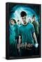 Harry Potter and the Order of the Phoenix - One Sheet-Trends International-Framed Poster