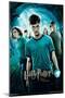 Harry Potter and the Order of the Phoenix - One Sheet-Trends International-Mounted Poster