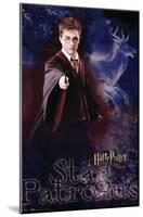 Harry Potter and the Order of the Phoenix - Patronus-Trends International-Mounted Poster