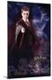 Harry Potter and the Order of the Phoenix - Patronus-Trends International-Mounted Poster