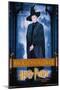 Harry Potter and the Philosopher's Stone - McGonagall-Trends International-Mounted Poster