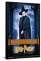Harry Potter and the Philosopher's Stone - McGonagall-Trends International-Framed Poster