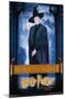 Harry Potter and the Philosopher's Stone - McGonagall-Trends International-Mounted Poster